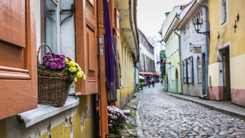 Cultuur snuiven Tallinn