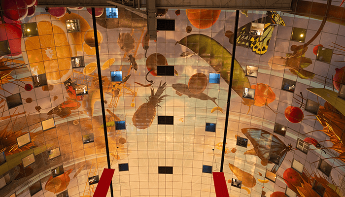 markthal Rotterdam