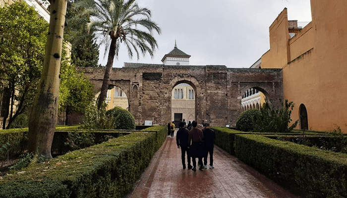 studiereis sevilla