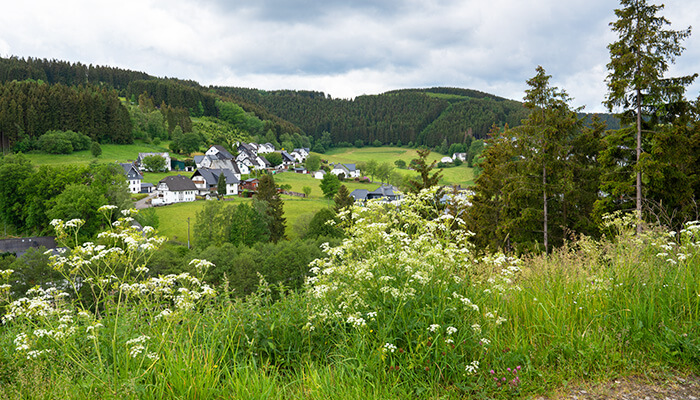 Winterberg natuur groepsaccommodaties